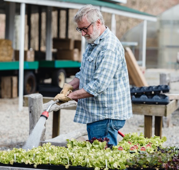 a pre-retirement worker gets back into work at a garden centre.