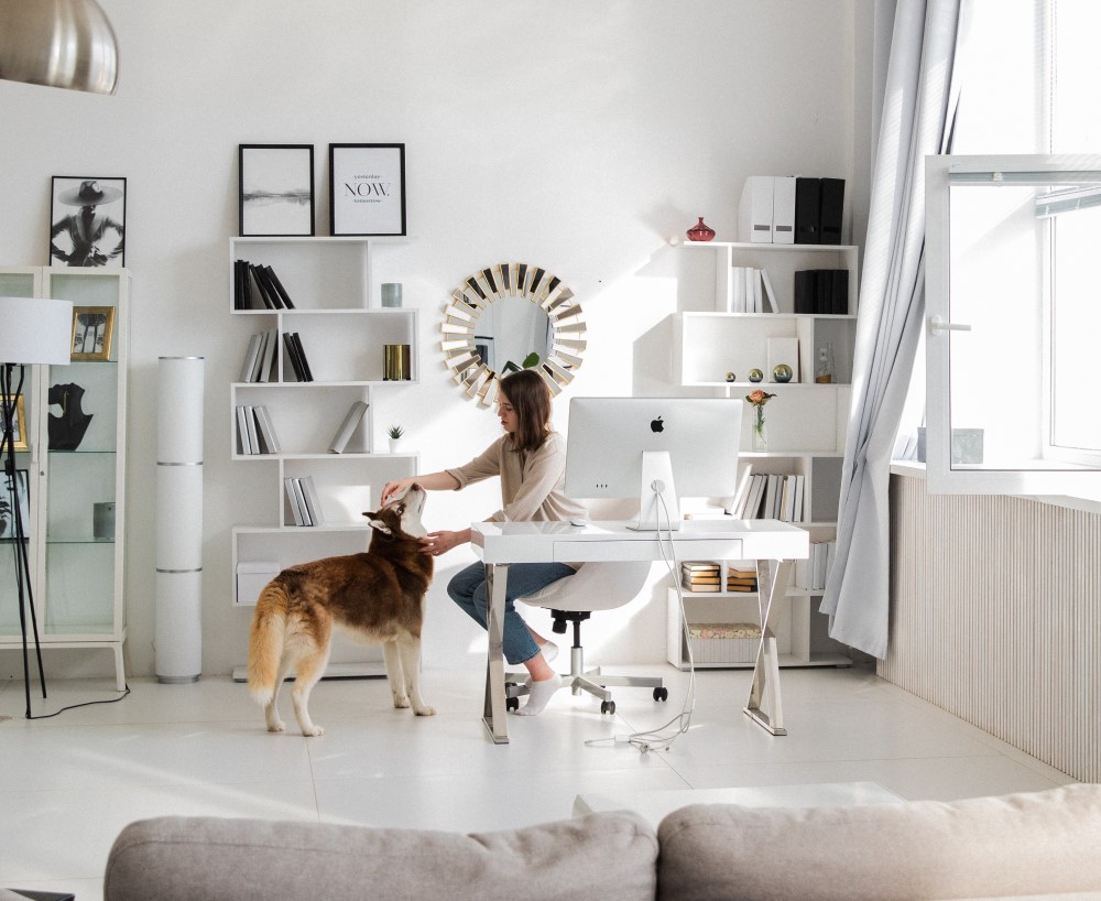 an employee works from home in their home office and dog